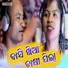 About Basi Khia Chasi Pila Song